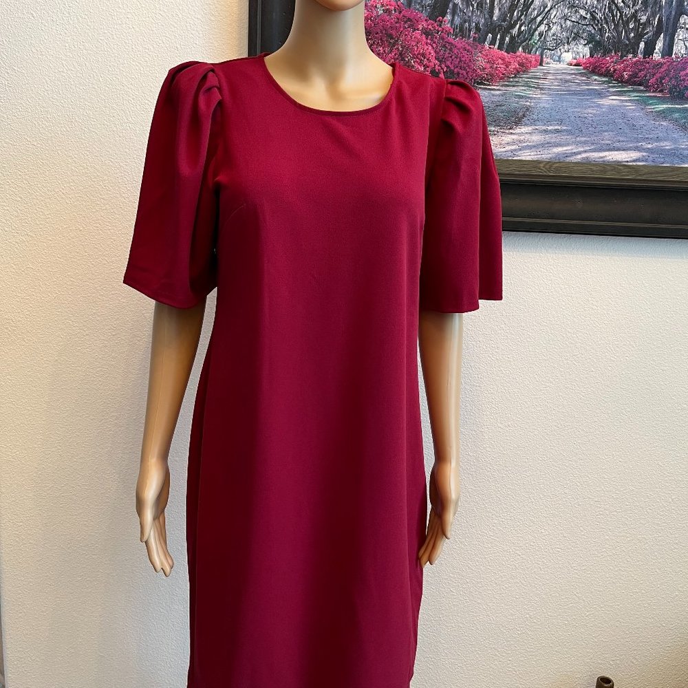 🟢Sharagano. Burgandy dress.  Size 10.🟢